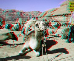 18-Wadi Rum-046